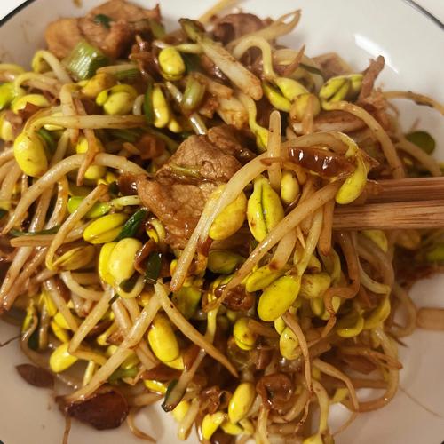 黄豆芽炒肉-黄豆芽炒肉的家常做法