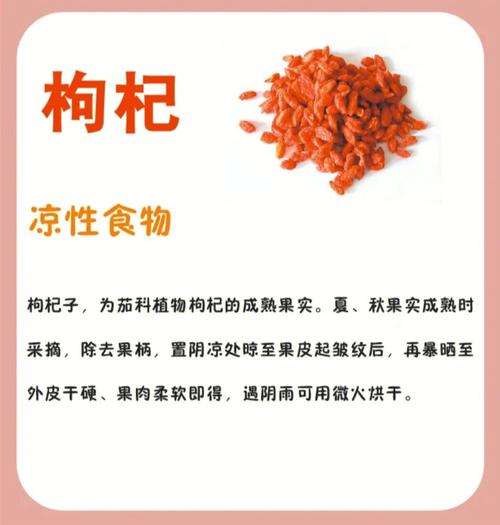 枸杞-枸杞子的功效与作用