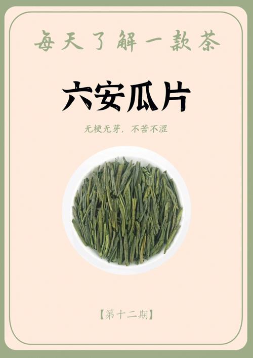 瓜片-瓜片六安是什么茶