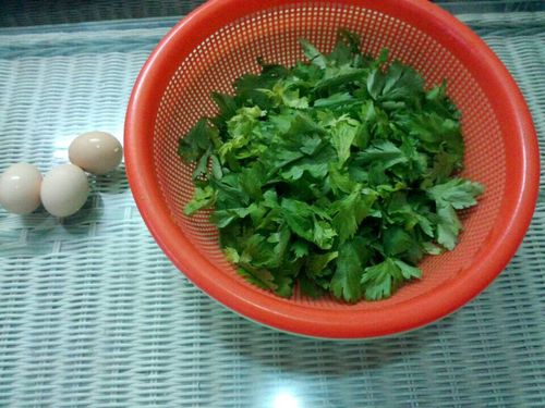 芹菜叶的做法-芹菜叶的做法大全家常菜视频
