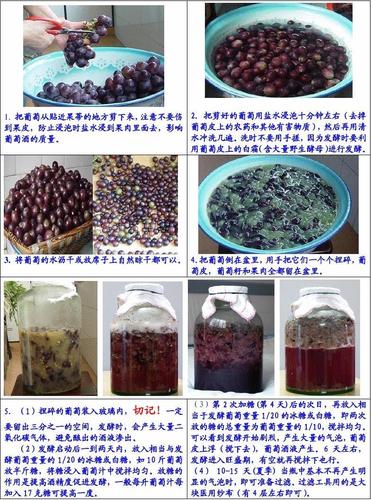如何做葡萄酒-如何做葡萄酒及过程