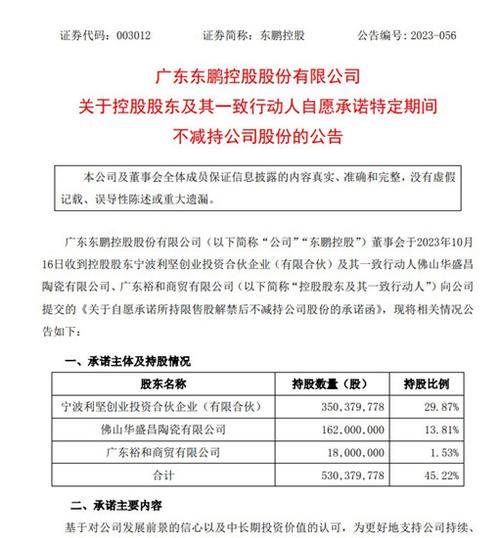 柏楚电子：控股股东及实际控制人自愿承诺不减持公司股份