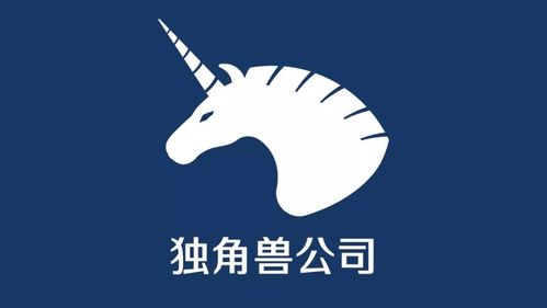 一家美国独角兽，死于一场“完美风暴”