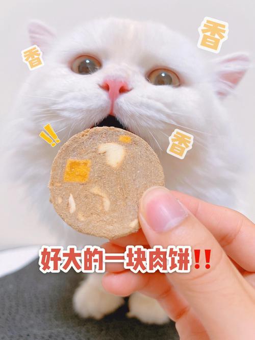 让我尝一下小肉饼-让我尝一下小肉饼什么意思
