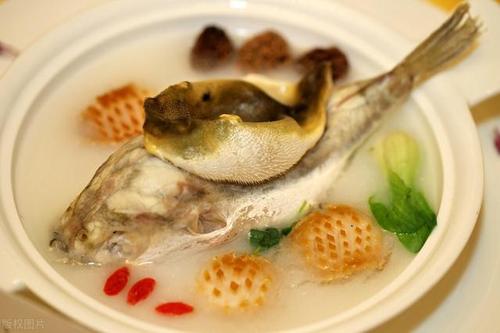河豚-河豚鱼正确吃法