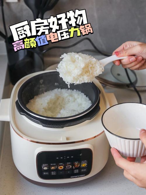煲饭-煲饭用电饭煲好,还是电压力锅好吃