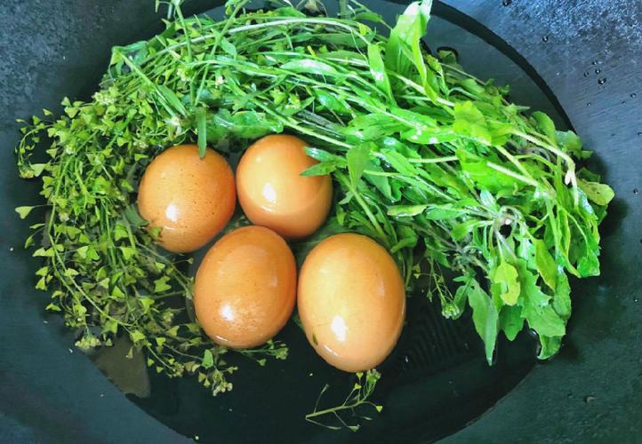 荠菜煮蛋-荠菜煮蛋是哪一天