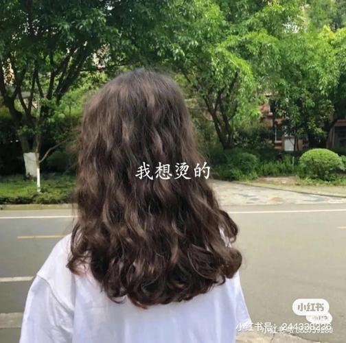 蛋糕卷-蛋糕卷发型