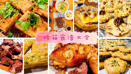 美的电烤箱食谱-美的烤箱食谱大全视频