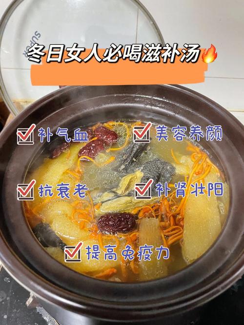 滋补养生-滋补养生汤100例