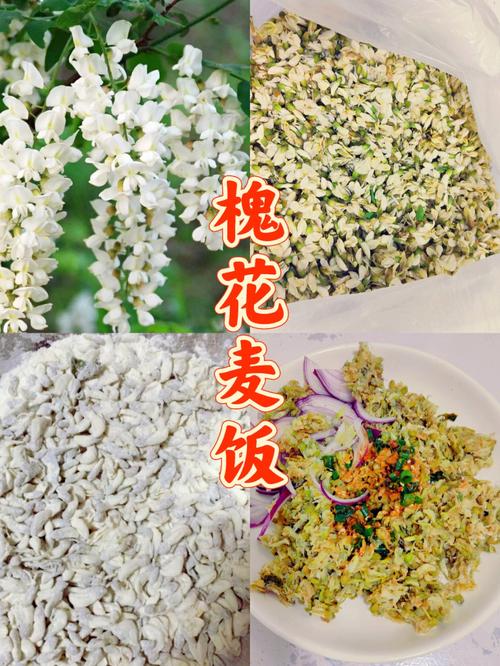 槐花麦饭-槐花麦饭是什么