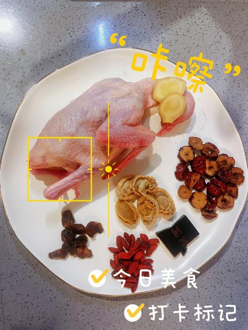 鸽子的做法-鸽子的做法怎么炖