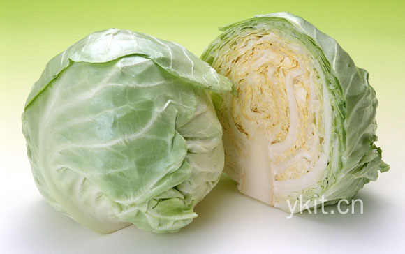 高丽菜-高丽菜的营养价值及功效与作用