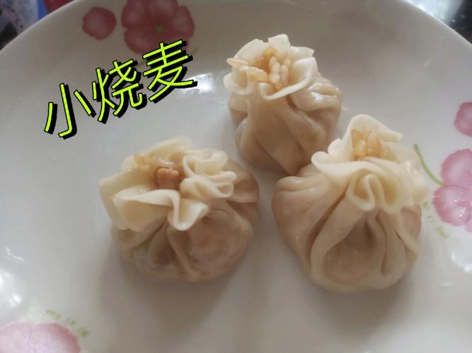 饺子皮怎么做-饺子皮怎么做烧卖皮