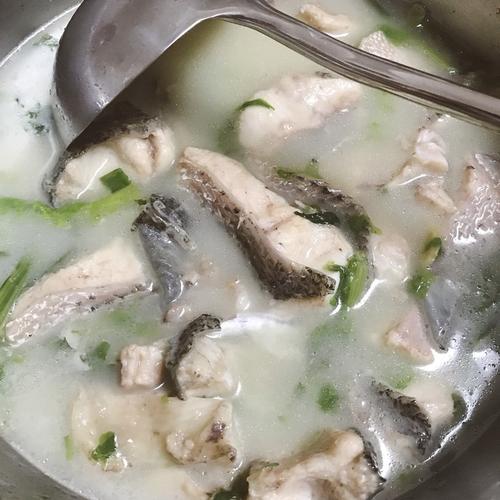 黑鱼汤-黑鱼汤对伤口愈合有好处吗