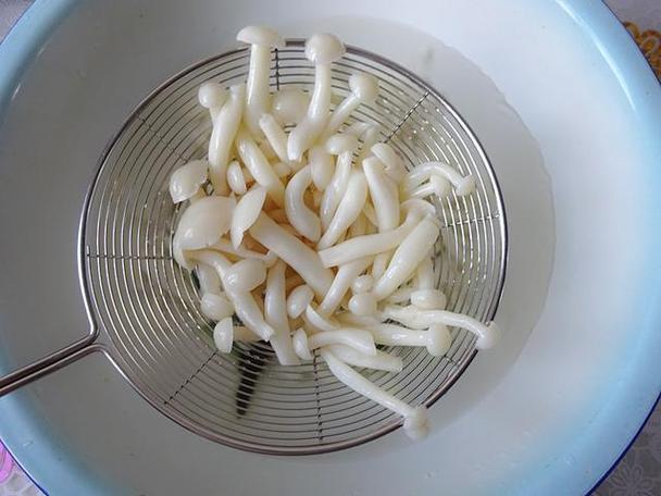 白玉菇-白玉菇不焯水有毒吗