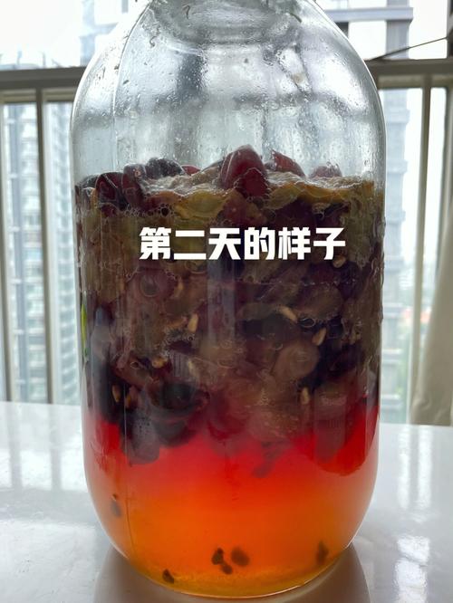 如何自制葡萄酒-如何自制葡萄酒?