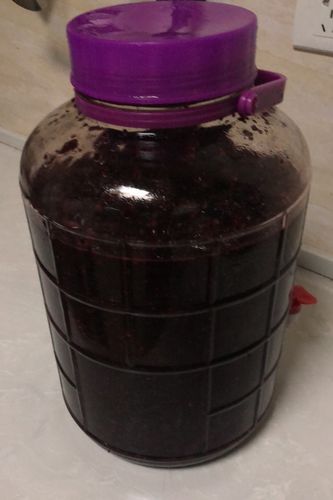 桑葚泡酒-桑葚泡酒保质期多长
