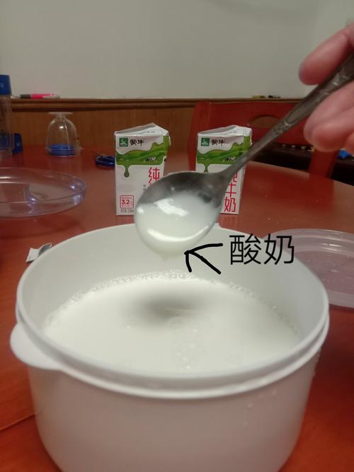 自制酸奶-自制酸奶要发酵多久