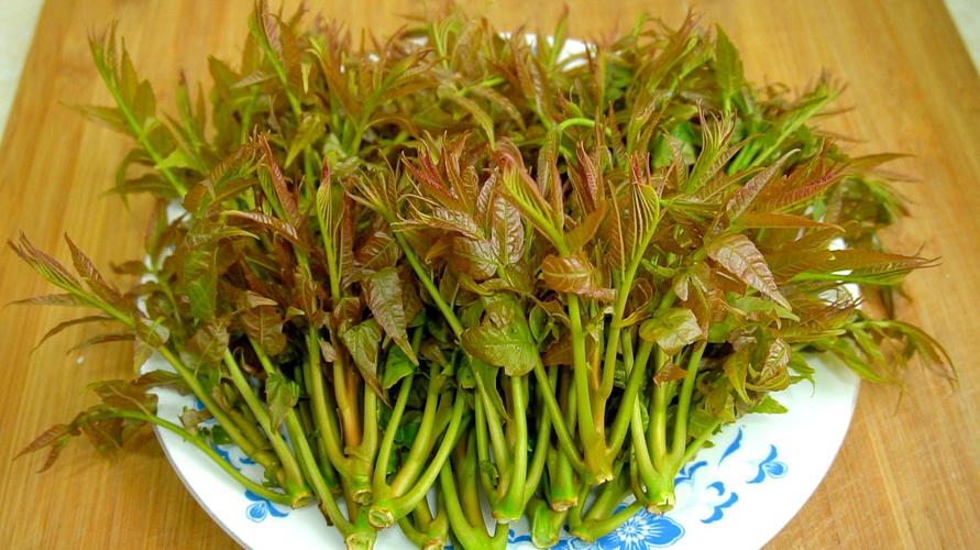 香椿芽-香椿芽功效作用与副作用