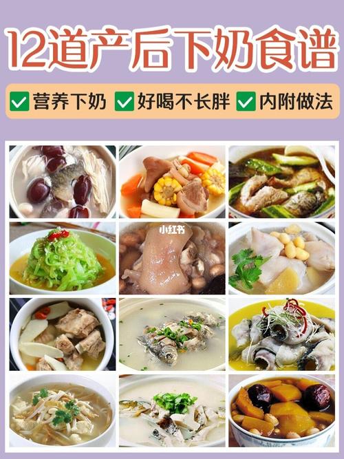 催奶汤-催奶汤食谱
