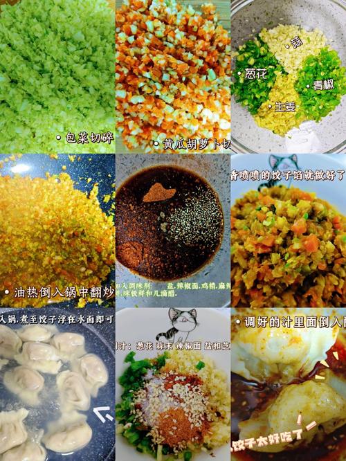 素菜饺子-素菜饺子馅配方大全