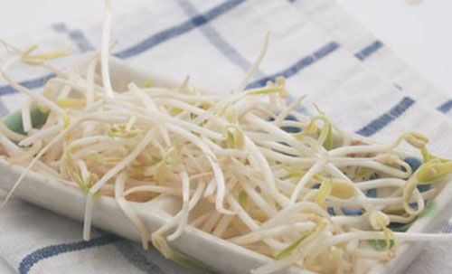 绿豆芽-绿豆芽没熟会不会中毒