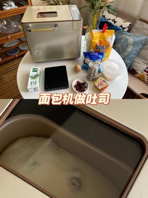 东菱面包机做面包-东菱面包机做面包的教程